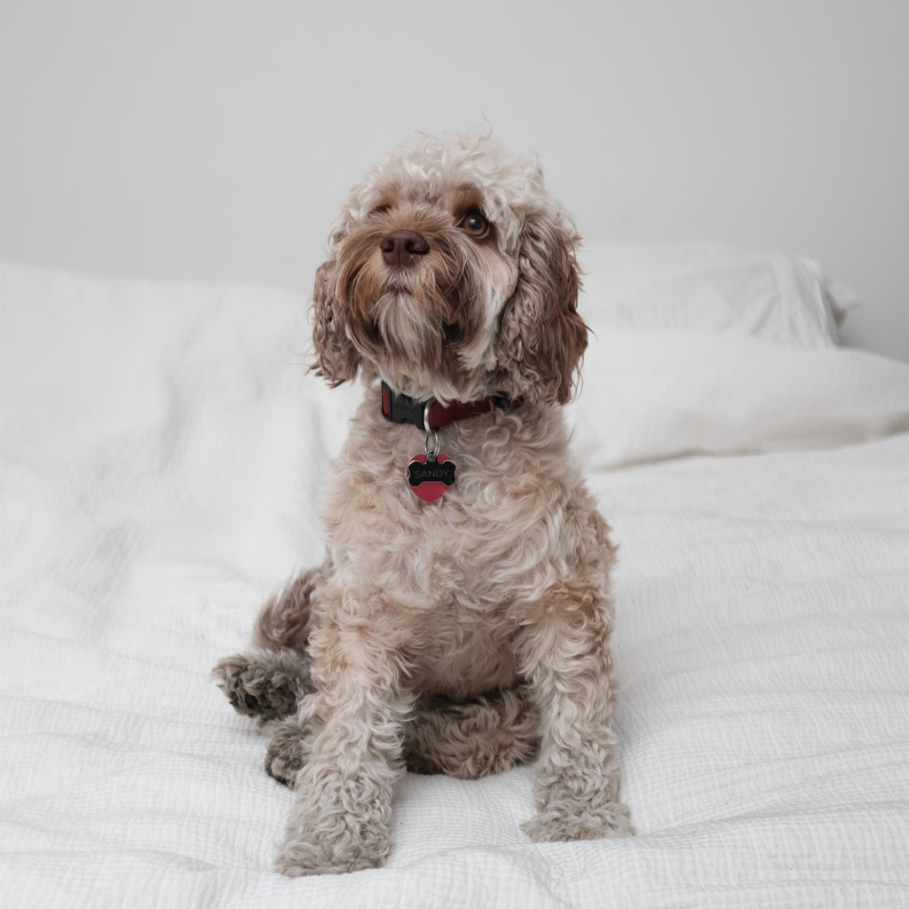 Are Hemp Sheets Soft?