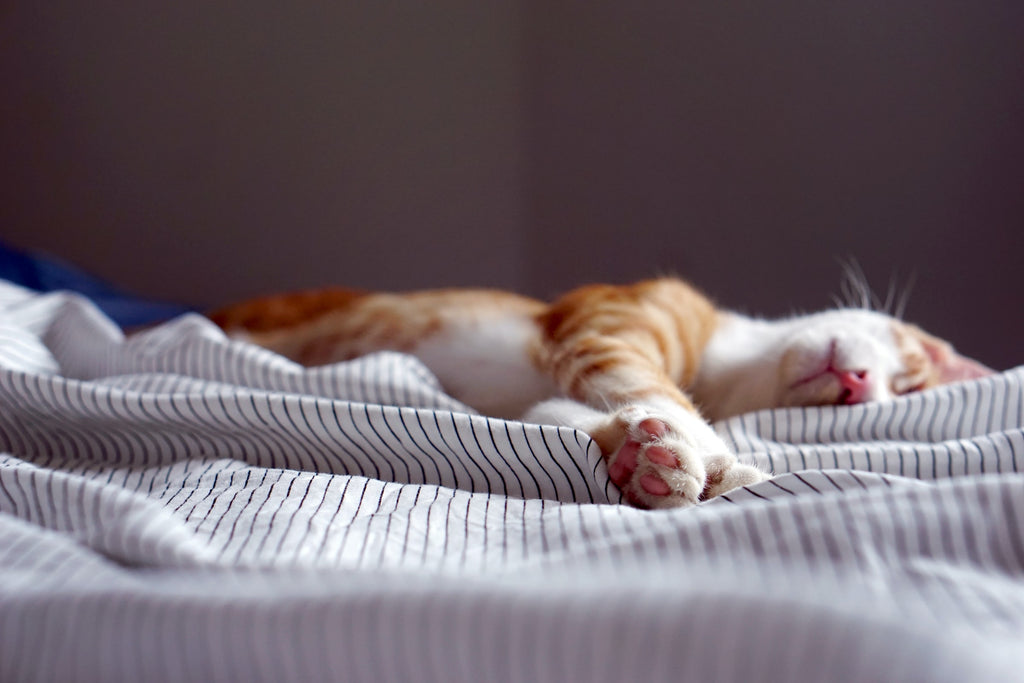 What Are Hemp Bed Sheets?